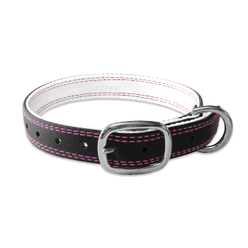 Dog Collar