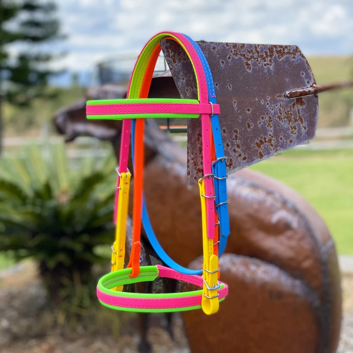 Rainbow Bridle  product image