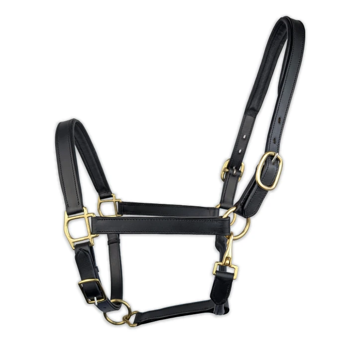 Leather Halter - Black product image