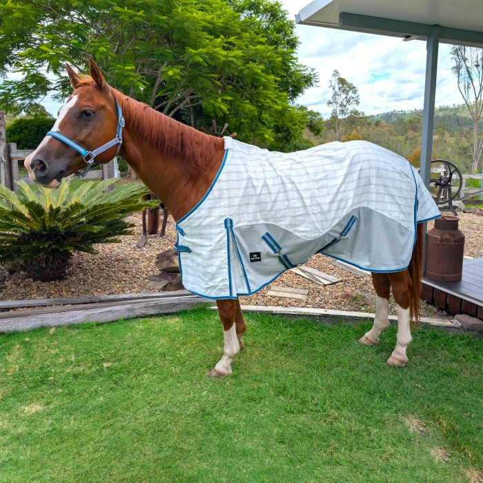 Hybrid Horse Rug - Teal & Grey product image