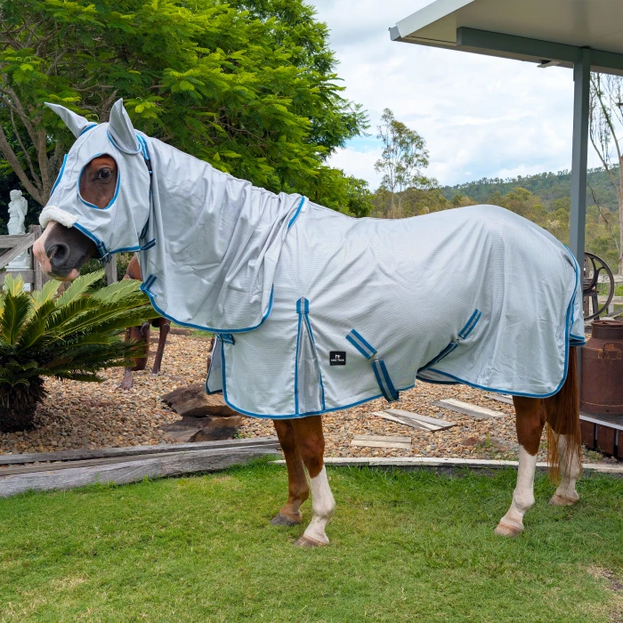 Mesh Hooded Horse Rug - Teal & Grey product image