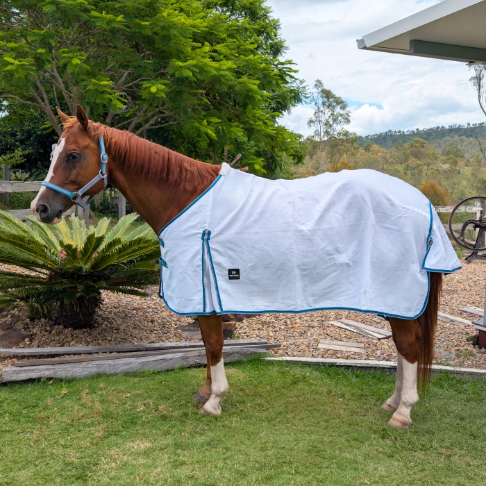 Flag Horse Rug - Teal & Grey product image