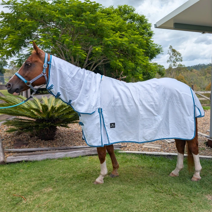 Flag Combo Horse Rug - Teal & Grey product image