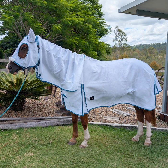 Flag Hooded Horse Rug - Teal & Grey product image