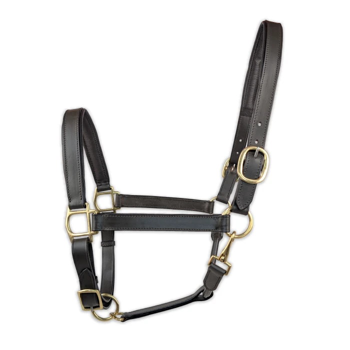 Leather Halter - Dark Brown product image