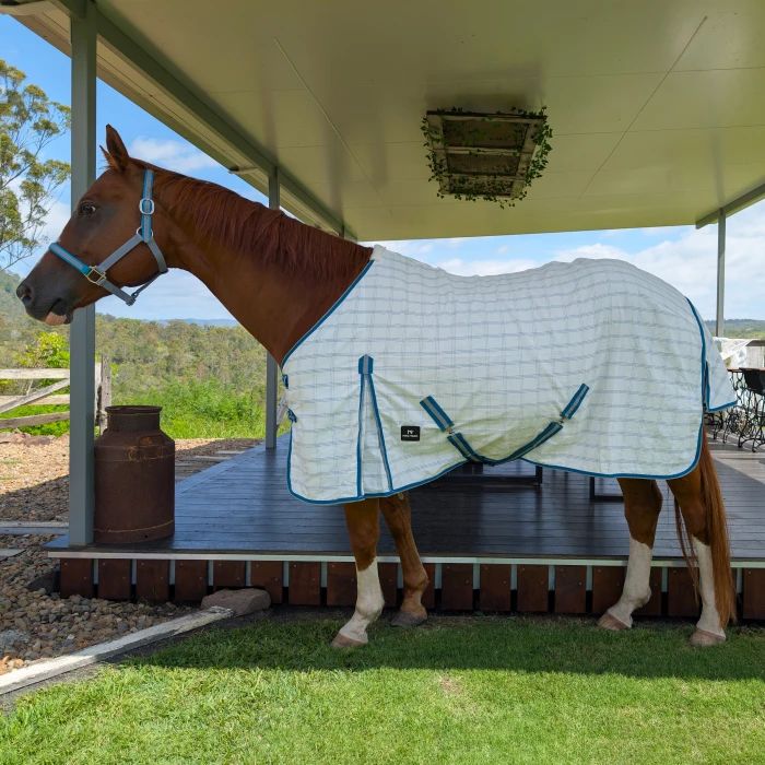 Ripstop Horse Rug - Teal & Grey product image