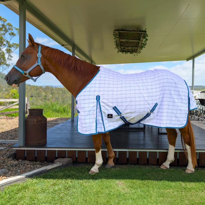 Ripstop Horse Rug - Teal & Grey product image