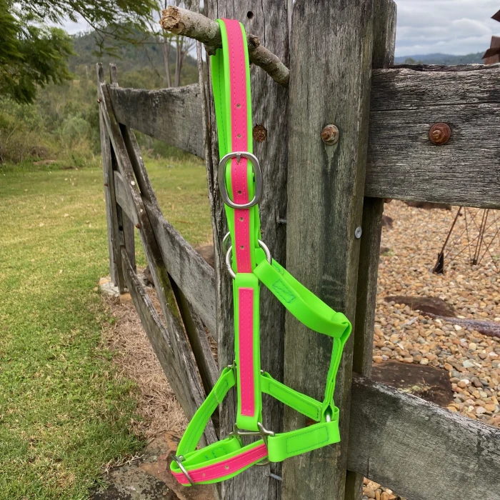 PVC Halter – Fluro Green & Pink product image