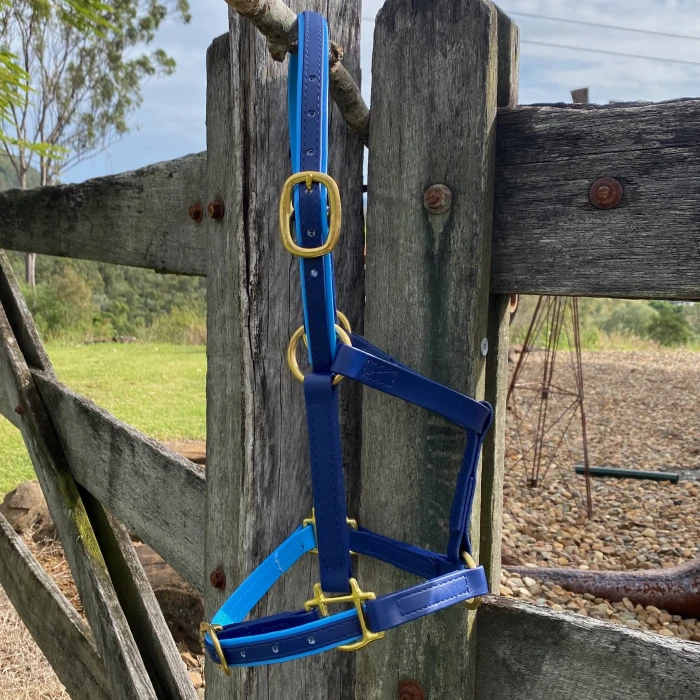 Navy/Blue 20mm Halter 