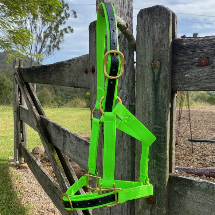 Fluro Green & Black 25mm Halter 