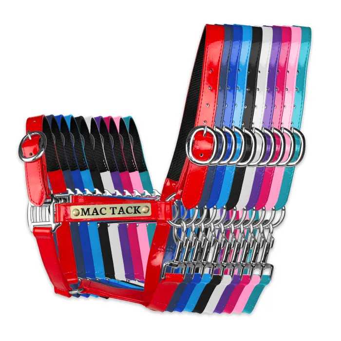 Everyday PVC Halter with Snap Clip product image