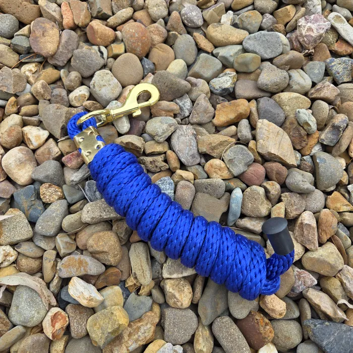 Blue Lead Rope 