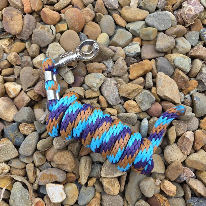 Brown, Cyan, Purple Lead Rope