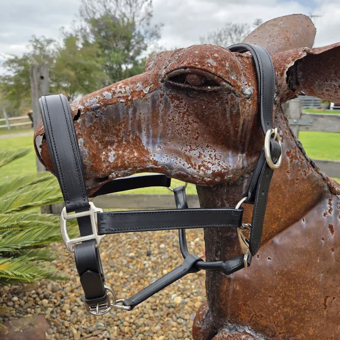 Leather Halter Black - NP