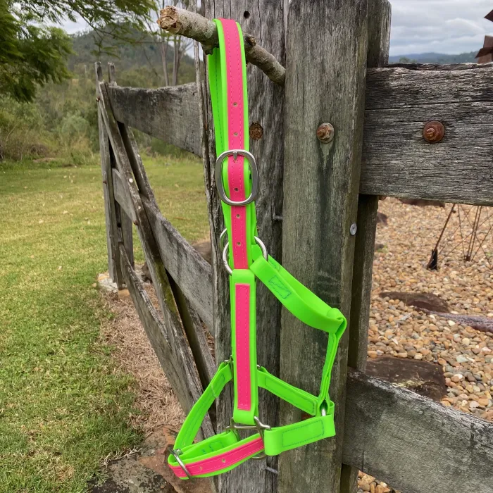 PVC Halter – Fluro Green & Pink