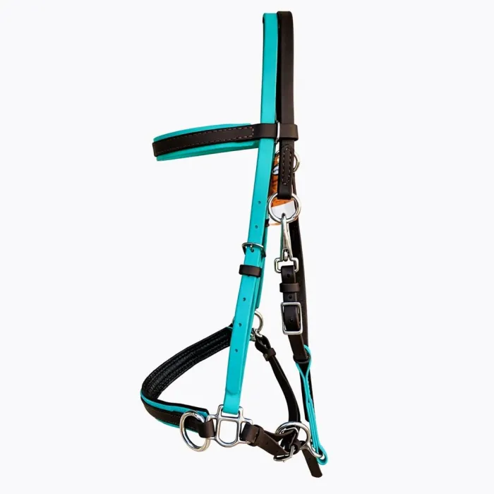 Bitless SidePull Halter Bridle - Teal/Dark Brown FULL 