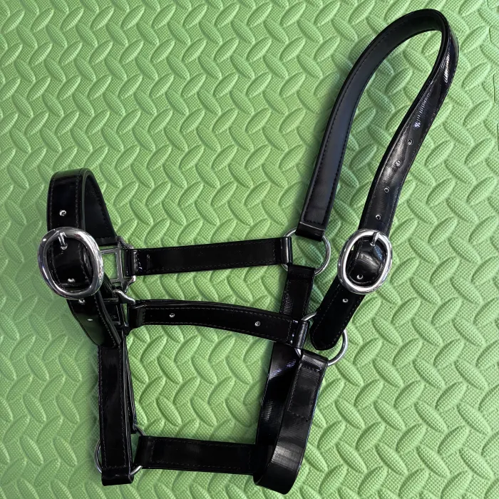 Budget PVC Halter - Black Pony (nameplate holes)