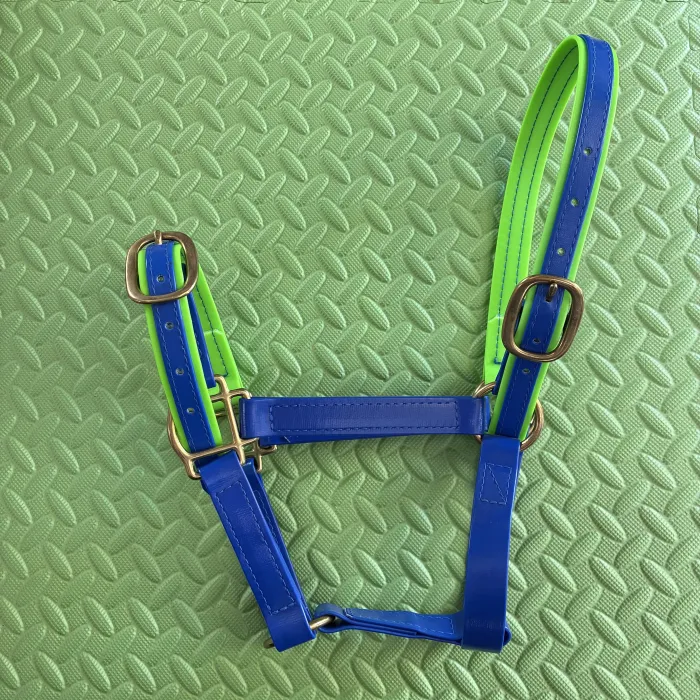 PVC Halter - COB Blue & Green 