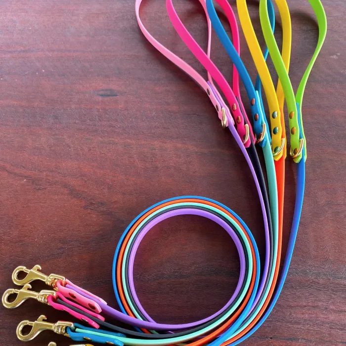 Dog Leads - For small dogs 