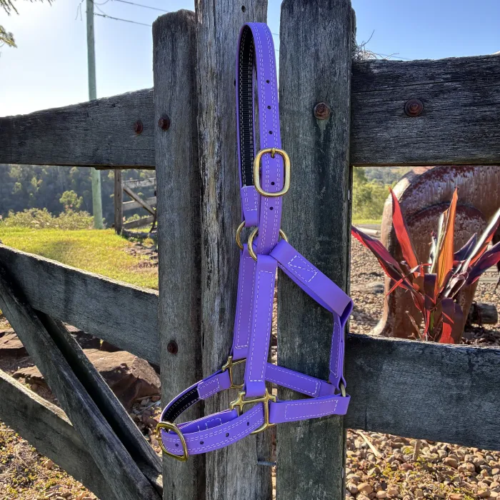 BioThane Halter - Dark Lavender - COB