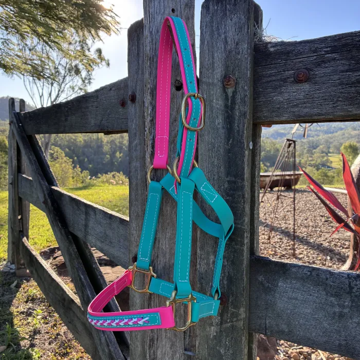 BioThane Halter - COB Teal & Pink with Lacing 