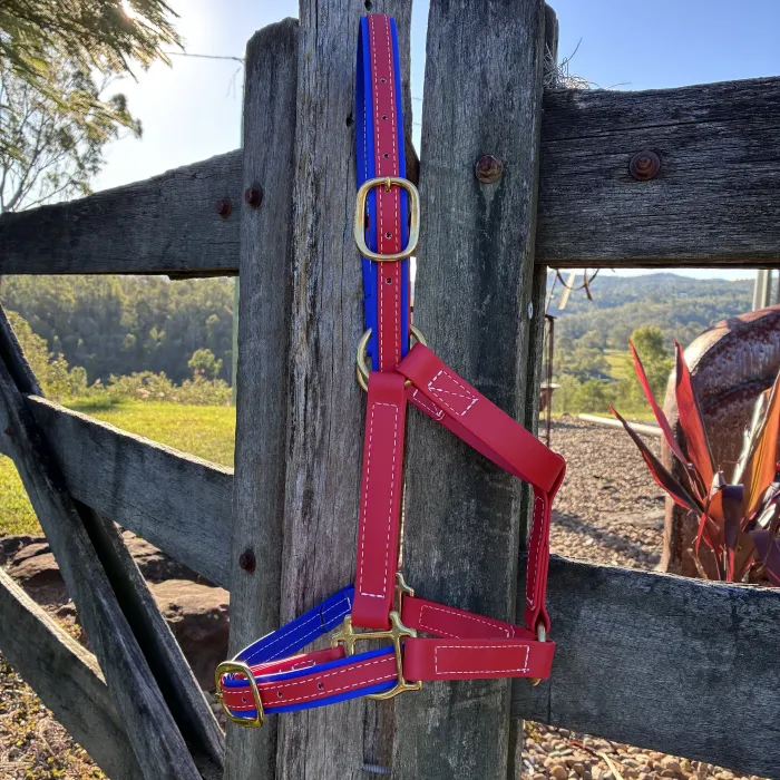 BioThane Halter - Red & Blue COB