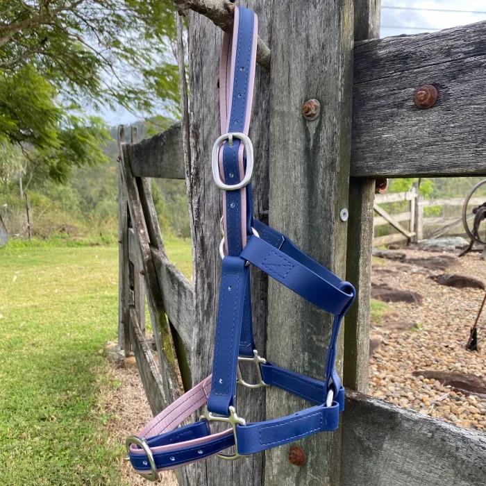 BioThane Halter - Navy & Berry