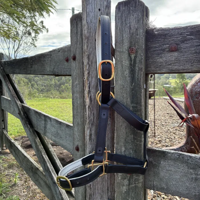 BioThane Halter Black COB