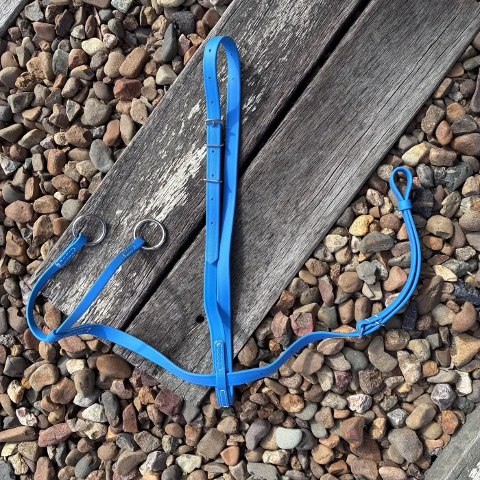 Electric Blue Martingale COB