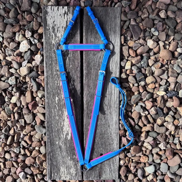 Electric Blue & Pink Breastplate PONY