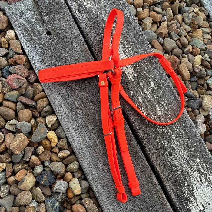 BioThane Barcoo Bridle - Orange- COB