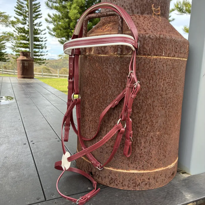 PVC Grackle Bridle - Maroon COB