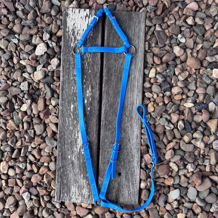 Electric Blue Breastplate PONY
