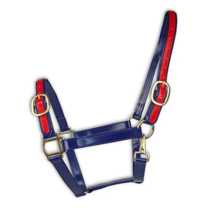 Premium Navy & Red TPU Horse Halter