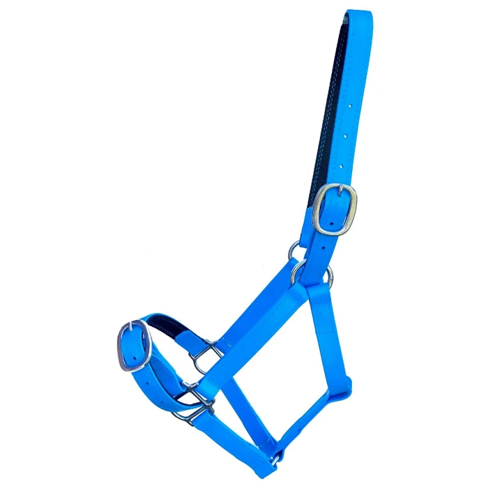 Cyan Horse Halter product image