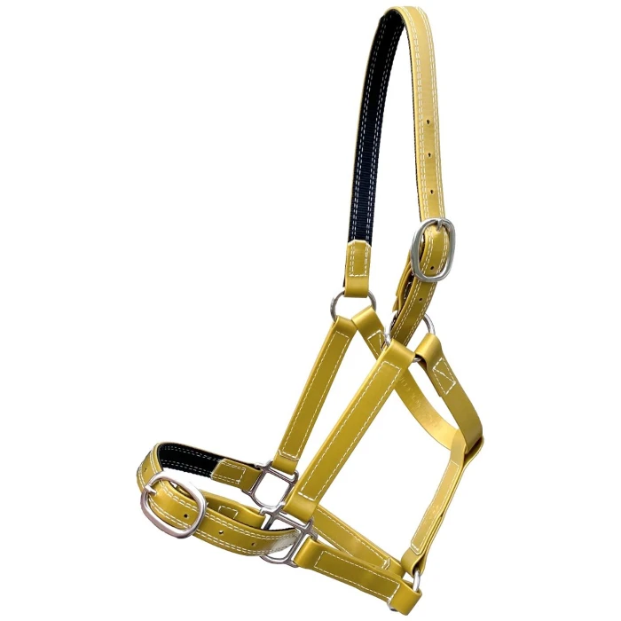 Gold Horse Halter  product image
