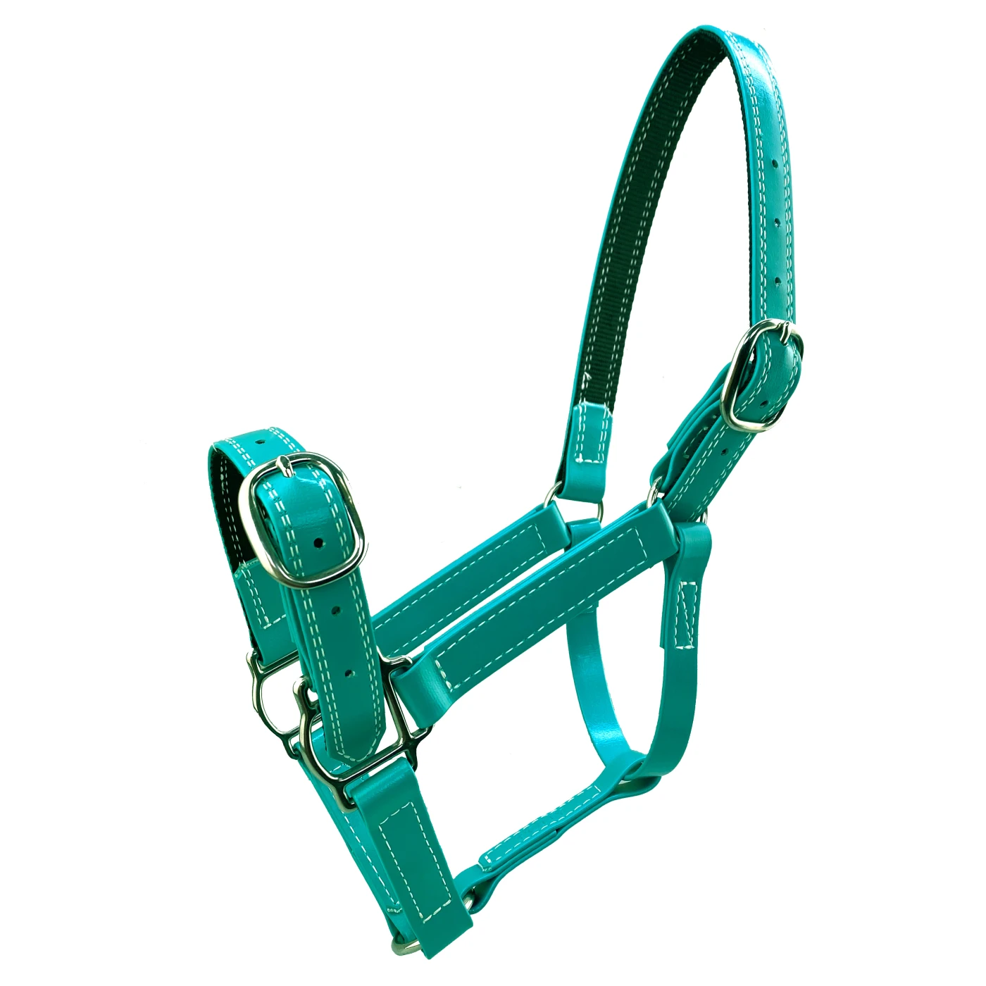 Teal Horse Halter | Mac Tack