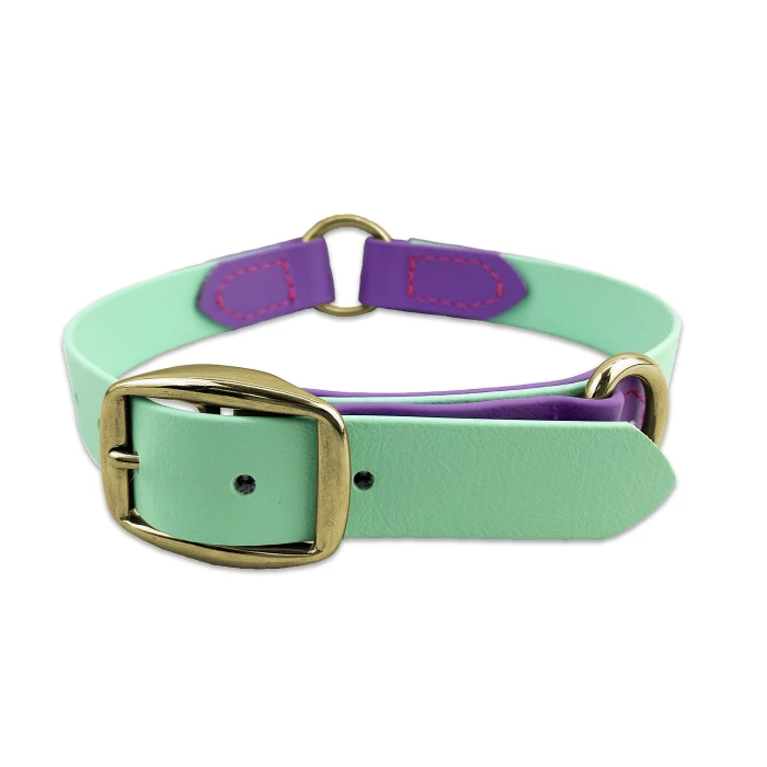 Two Tone Flexi Dog Collar product image