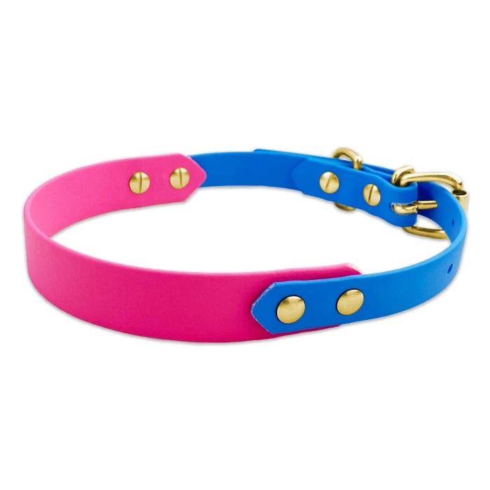 Two Tone  Dog Collar with Screws product image