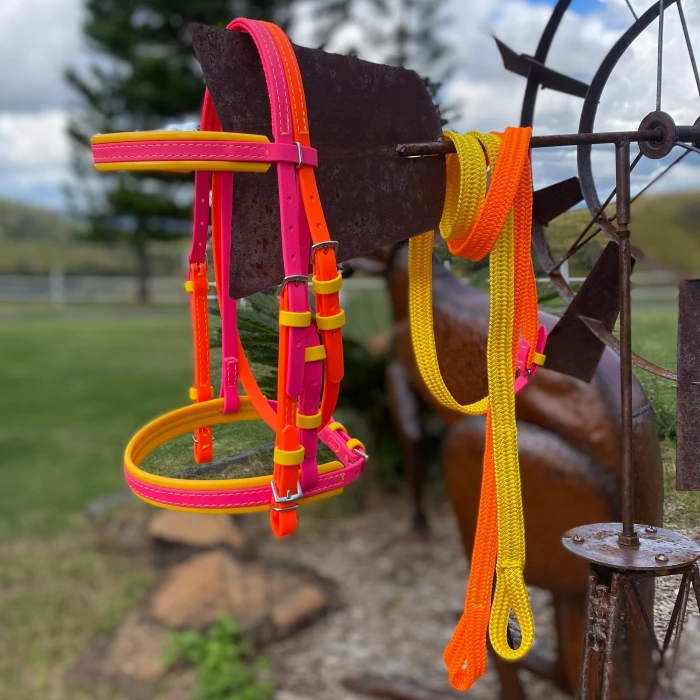 Pink/Orange/Yellow Bridle & Reins  product image